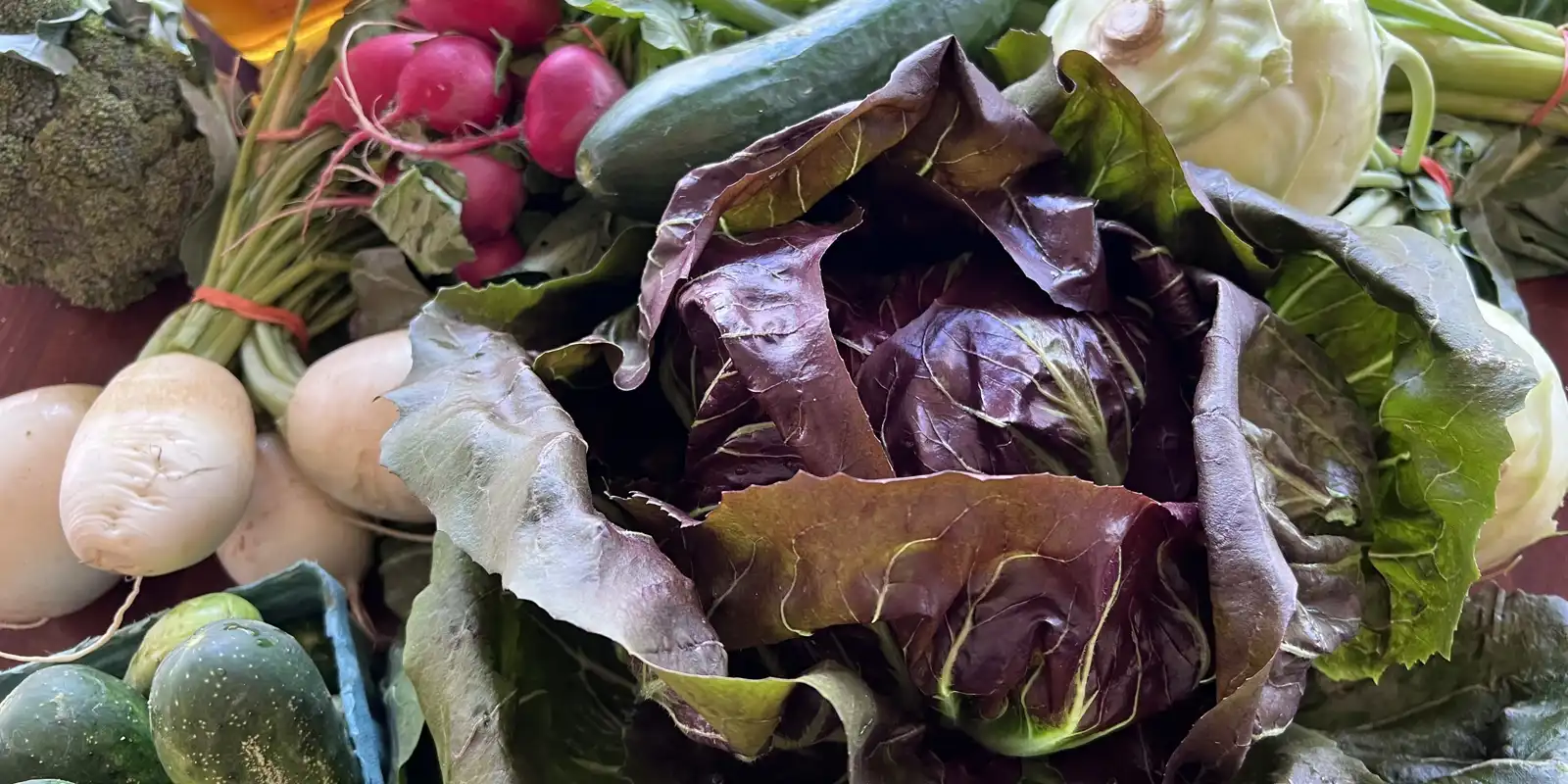 Local summer bounty!
