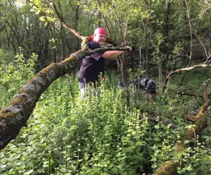 Morel hunting